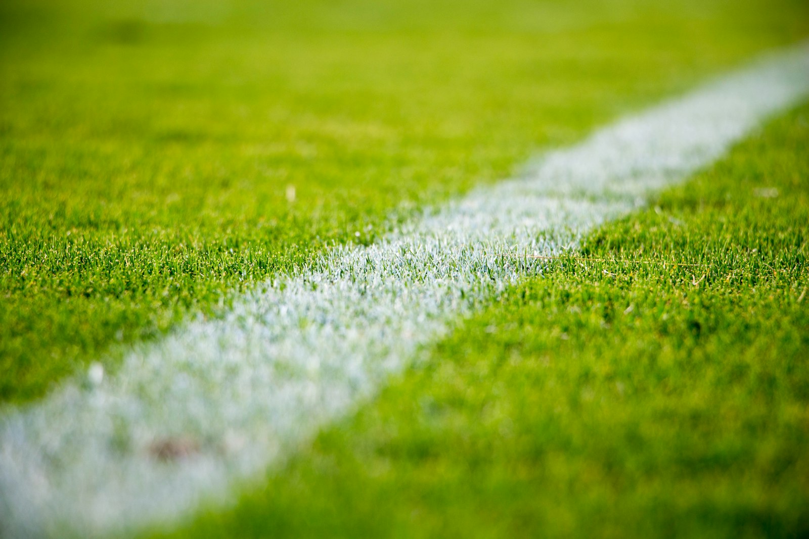 White field marking cutting across green soccer turf
